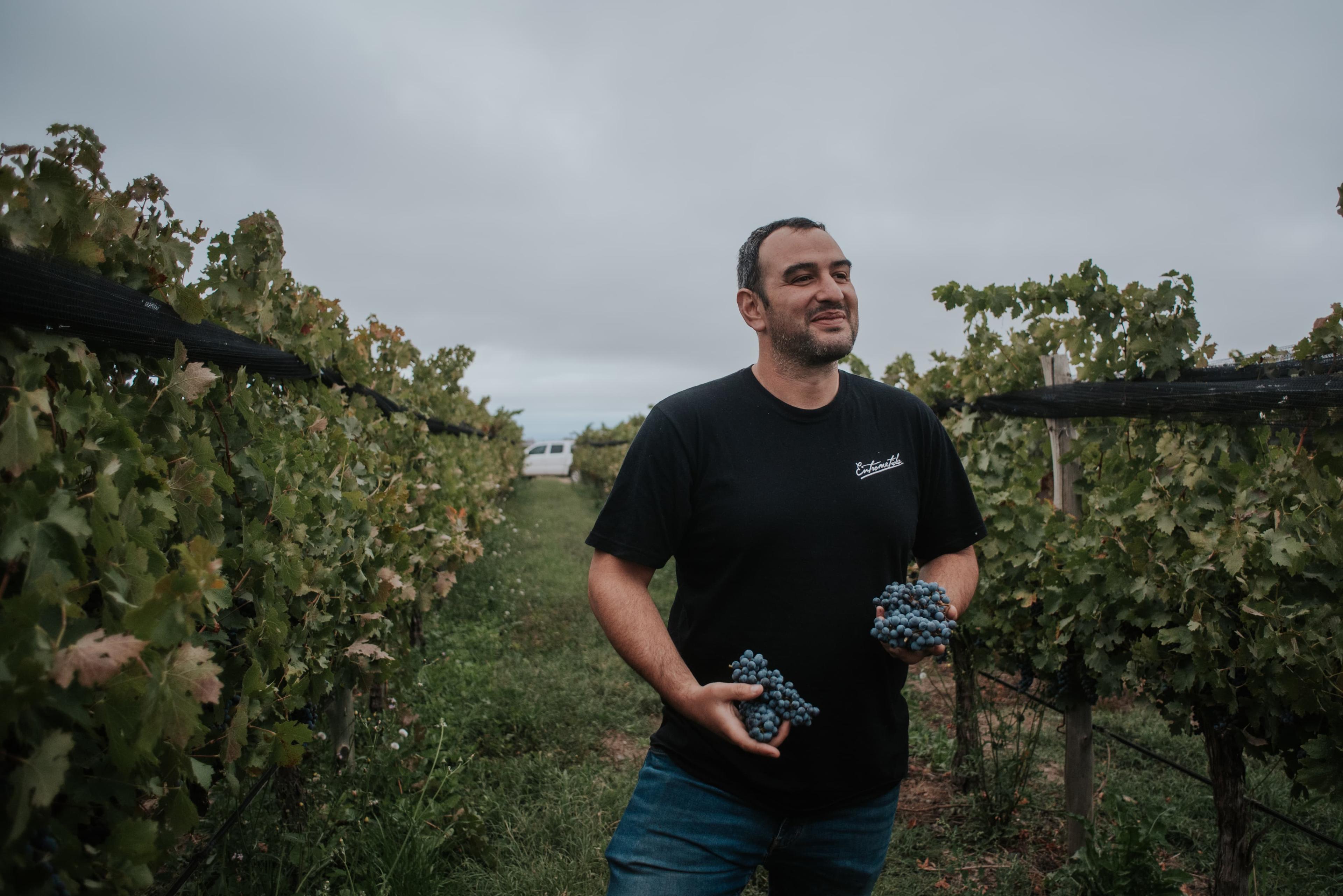 Imagen 1 de Dos amigos, una maestría en Europa y las ganas de hacer vino con alma: la historia detrás de Entrometido Wines