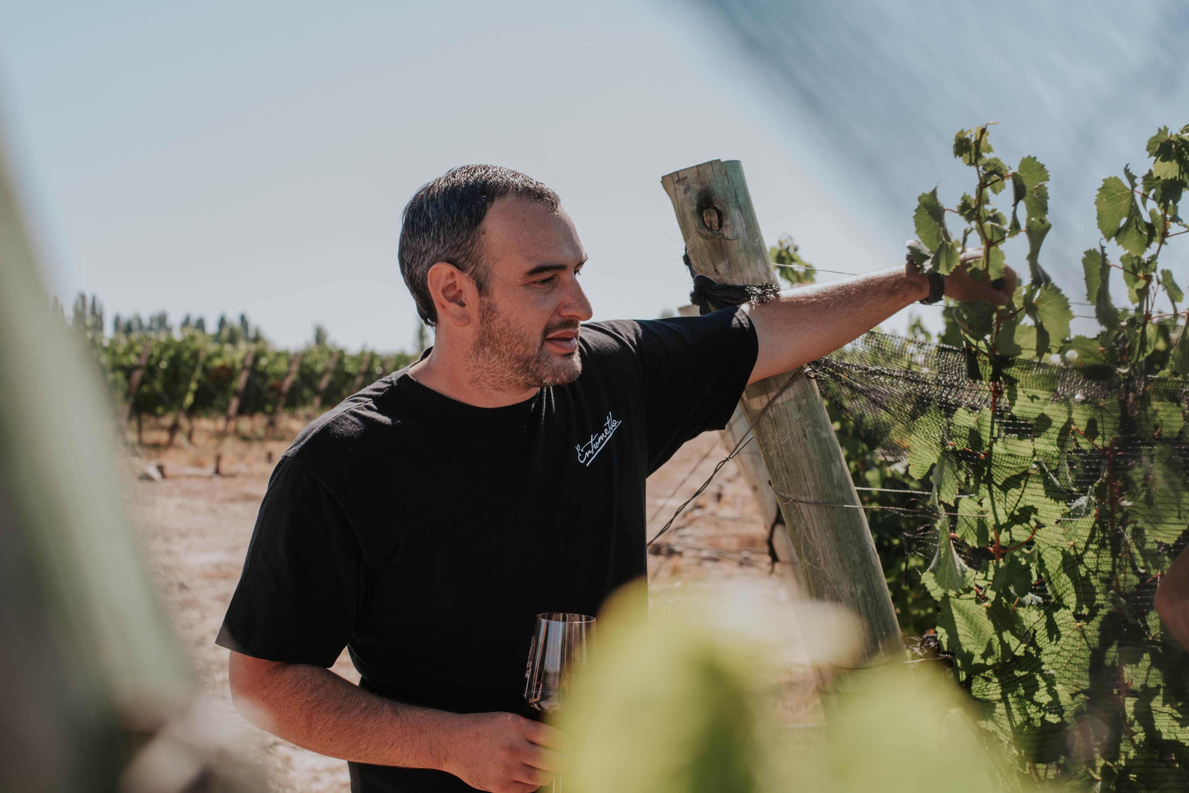 Imagen 1 de El único camino es probar: consejos de un enólogo para quien quiere empezar a entender el vino